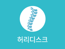 척추디스크